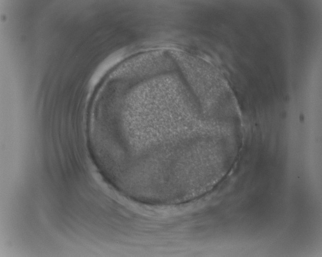 X0000061730006200512231446