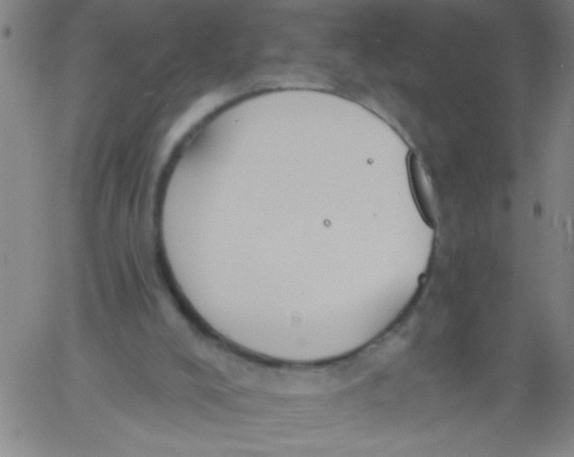 X0000061730008200512231446