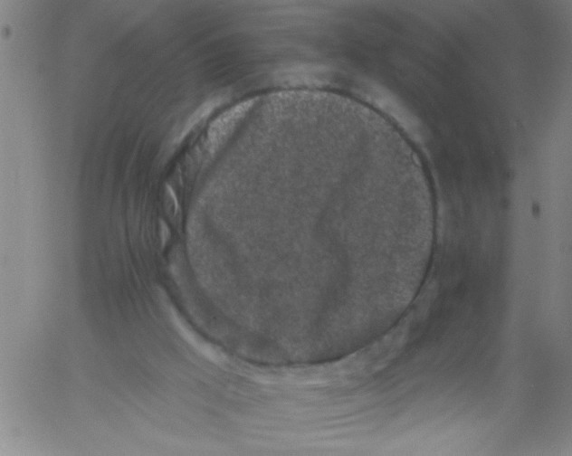 X0000061730009200512231446