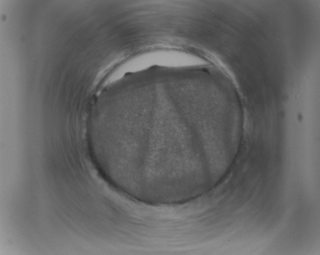 X0000061730010200512231446