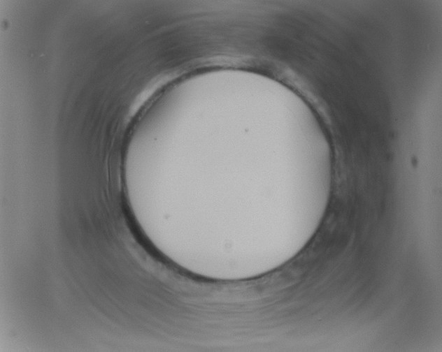 X0000061730011200512231446