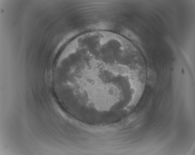 X0000061730012200512231446