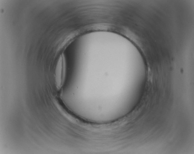 X0000061730013200512231446