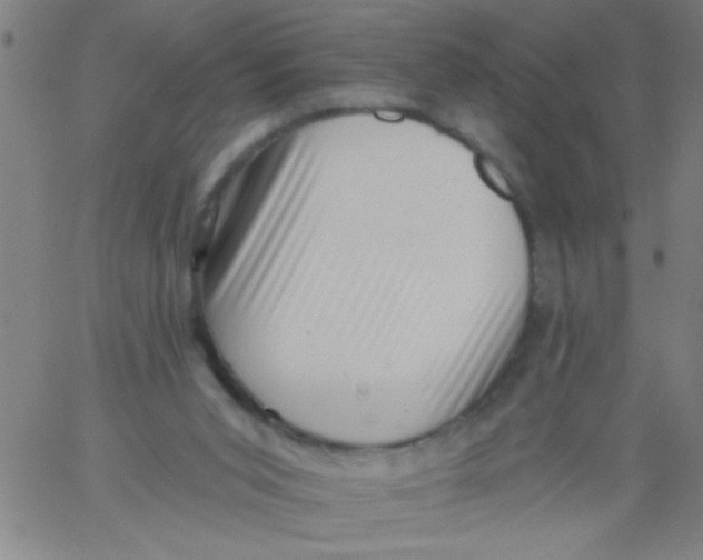 X0000061730015200512231446