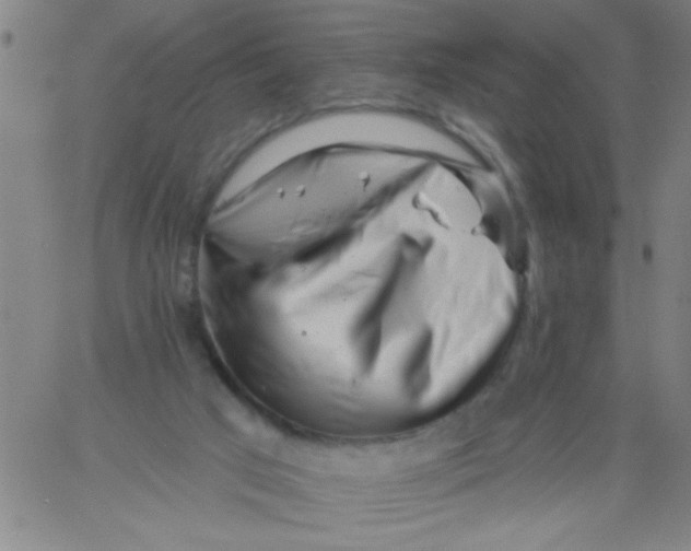 X0000061730017200512231446