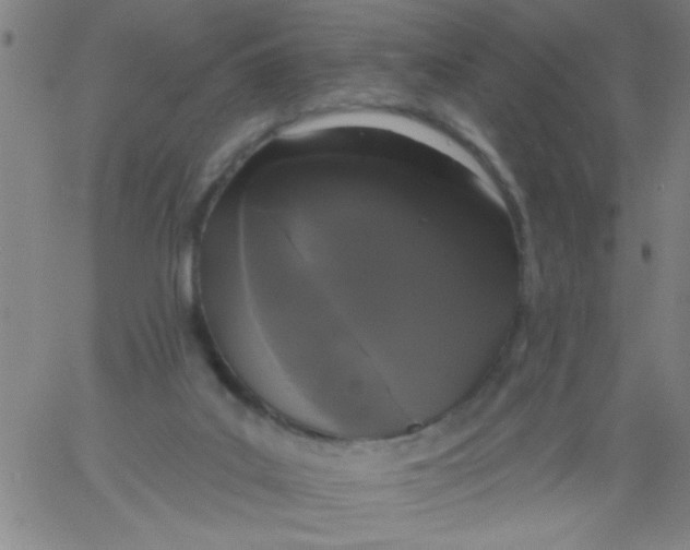 X0000061730019200512231446