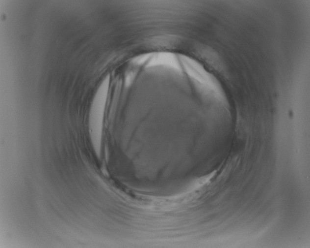 X0000061730021200512231446