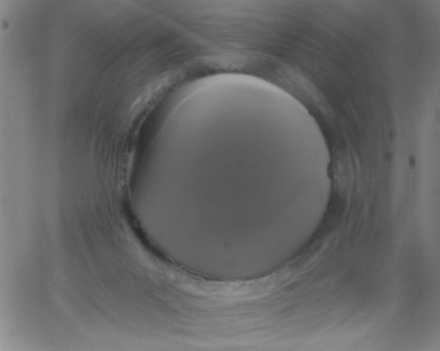 X0000061730023200512231446