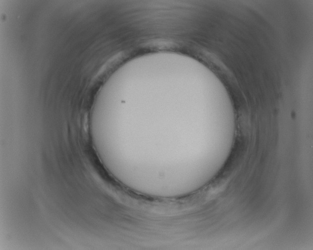 X0000061730024200512231446