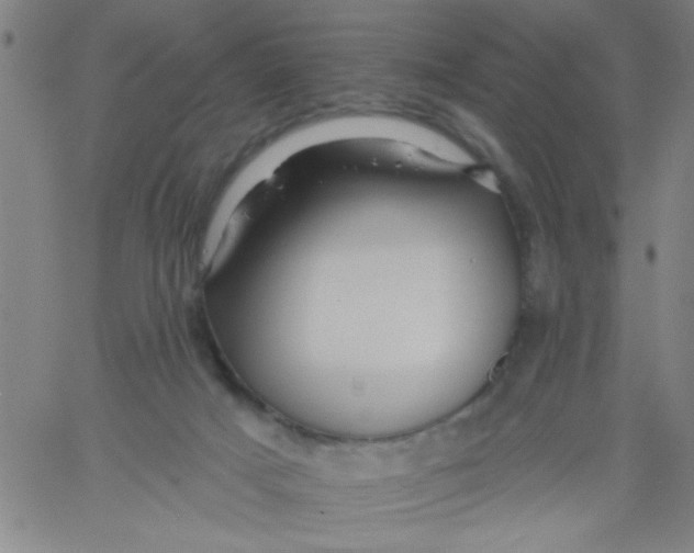 X0000061730025200512231446