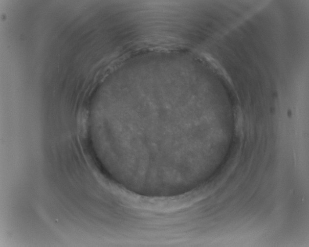 X0000061730026200512231446