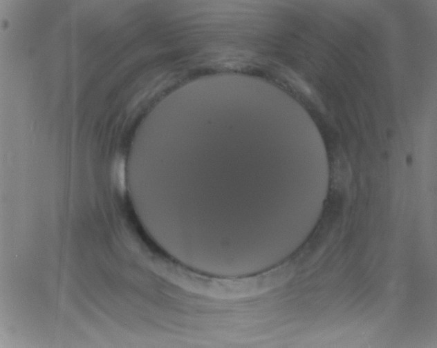 X0000061730027200512231446