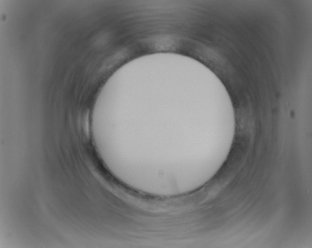 X0000061730028200512231446