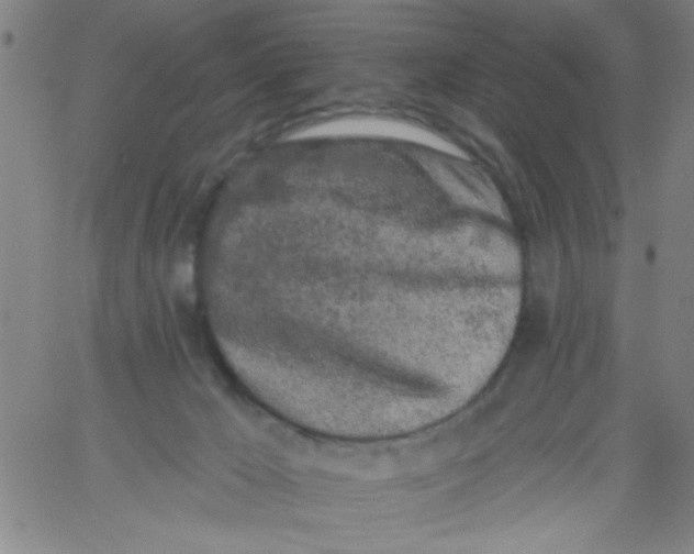 X0000061730029200512231446