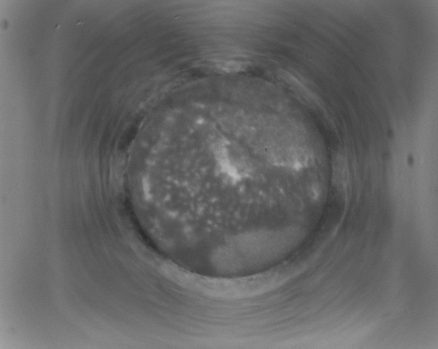 X0000061730030200512231446