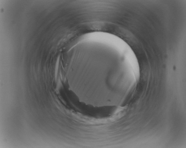 X0000061730031200512231446