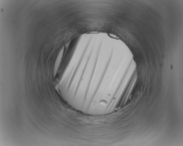 X0000061730033200512231446