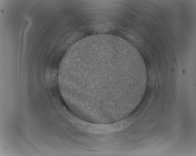 X0000061730034200512231446