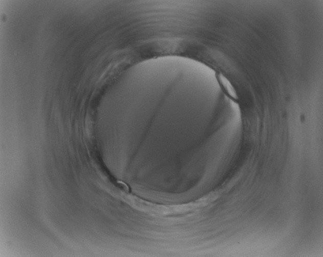 X0000061730035200512231446