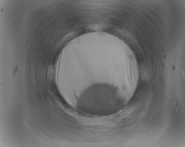 X0000061730036200512231446