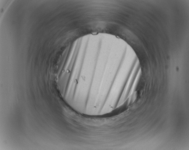 X0000061730037200512231446