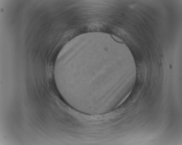 X0000061730038200512231446