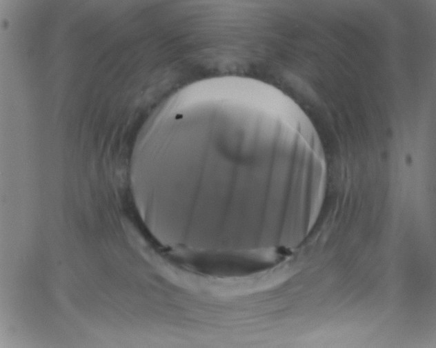 X0000061730039200512231446