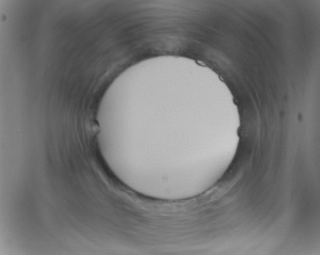 X0000061730040200512231446