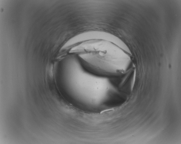 X0000061730041200512231446