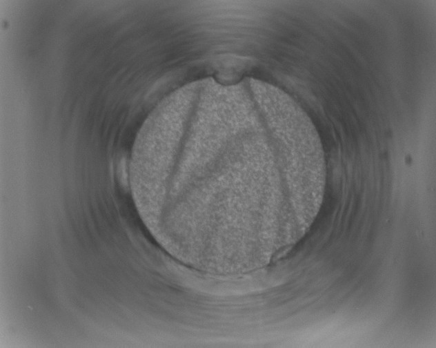 X0000061730042200512231446