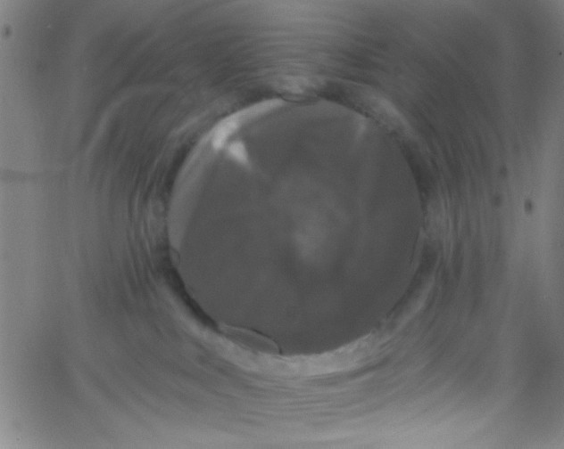 X0000061730043200512231446