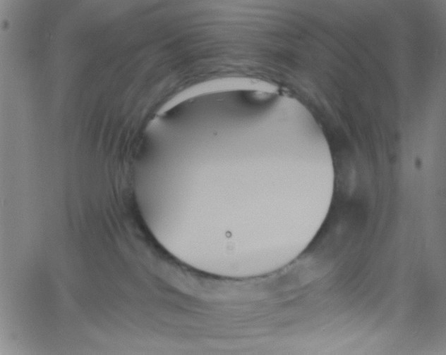 X0000061730044200512231446