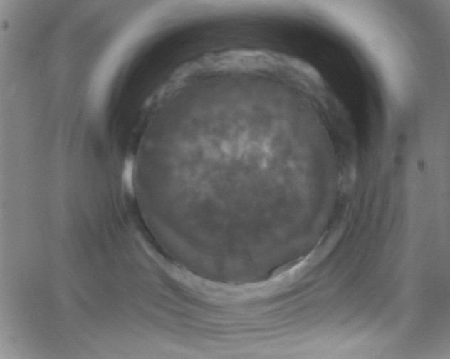 X0000061730047200512231446