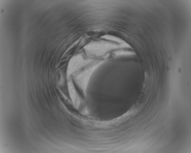 X0000061730048200512231446