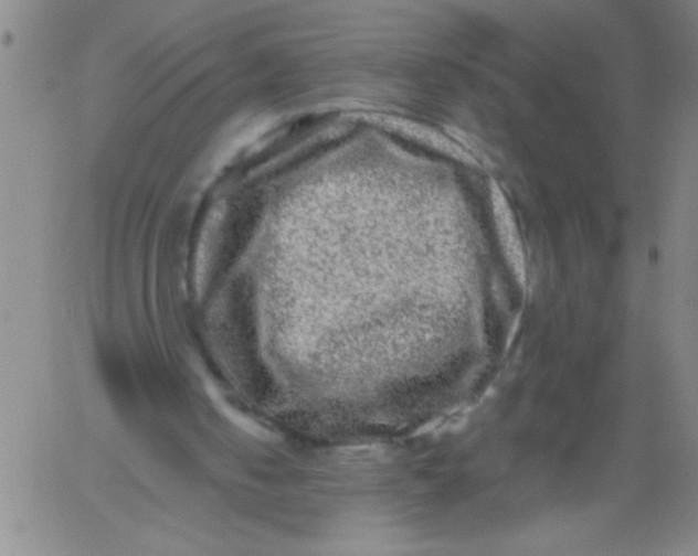 X0000061730050200512231445