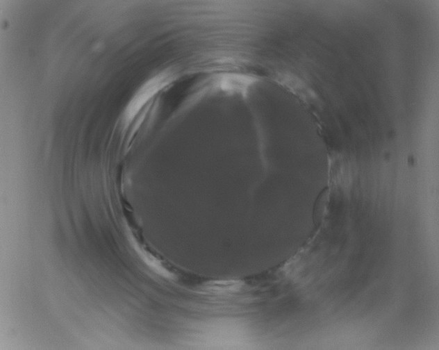 X0000061730051200512231445