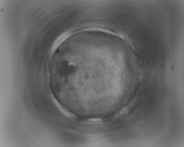 X0000061730053200512231445