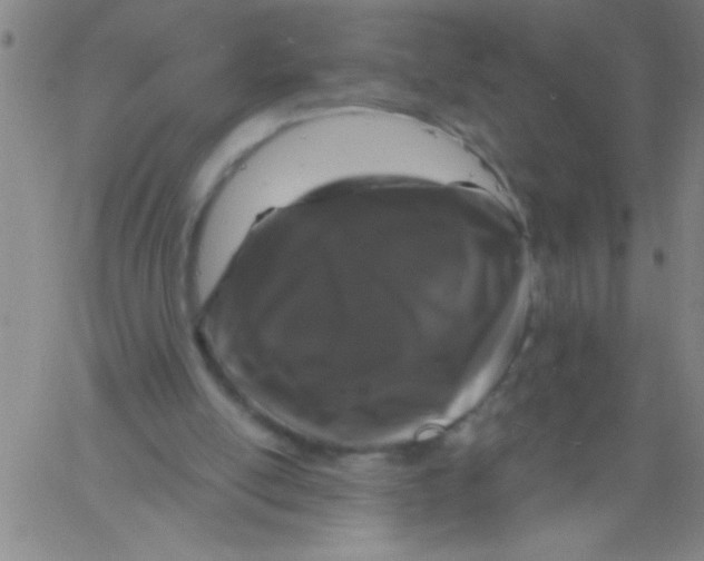 X0000061730054200512231445