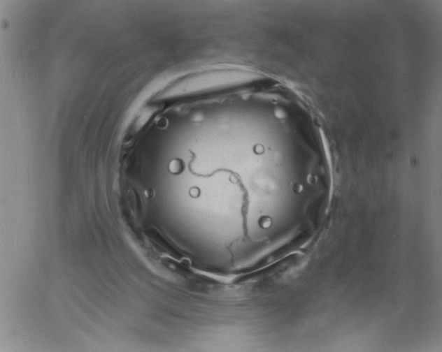 X0000061730056200512231445