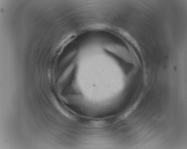 X0000061730057200512231445