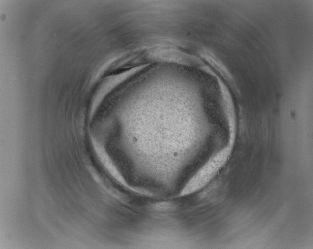 X0000061730058200512231445