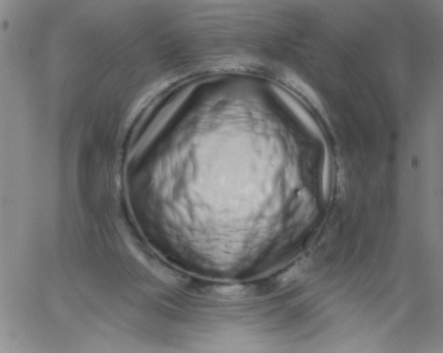 X0000061730059200512231445