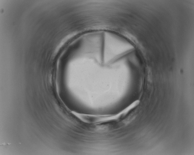 X0000061730060200512231445