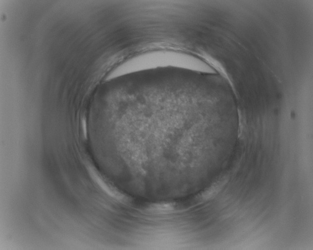 X0000061730061200512231445