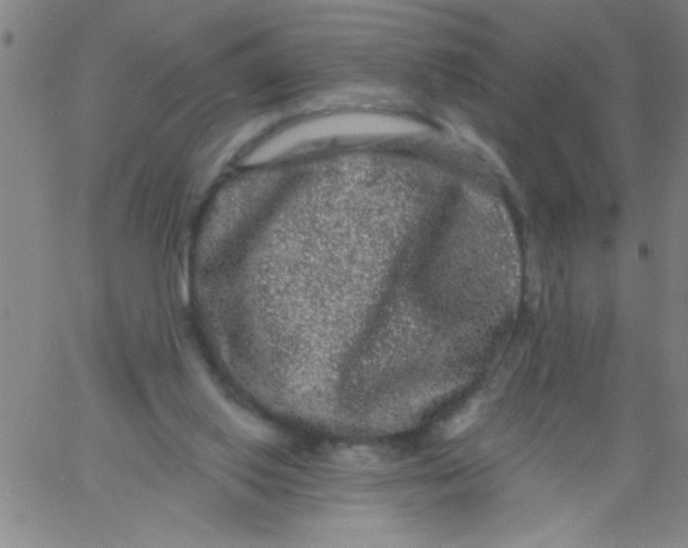 X0000061730062200512231445