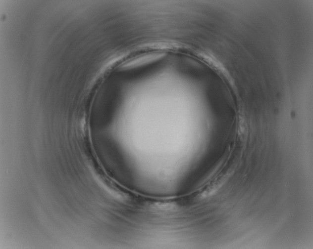 X0000061730063200512231445