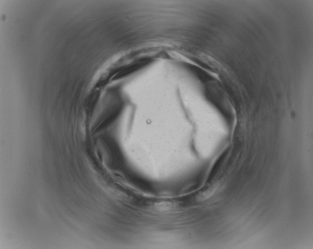 X0000061730064200512231445