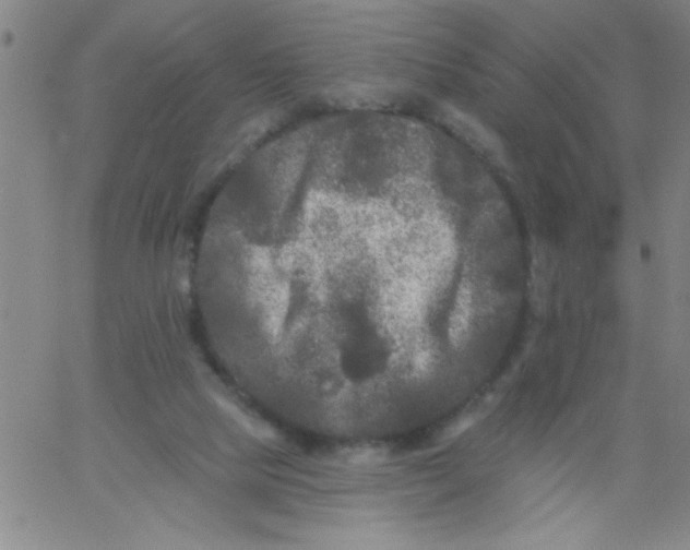 X0000061730065200512231445