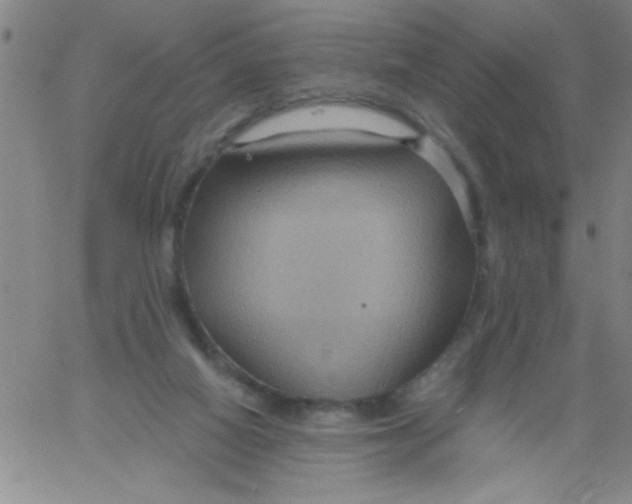 X0000061730066200512231445