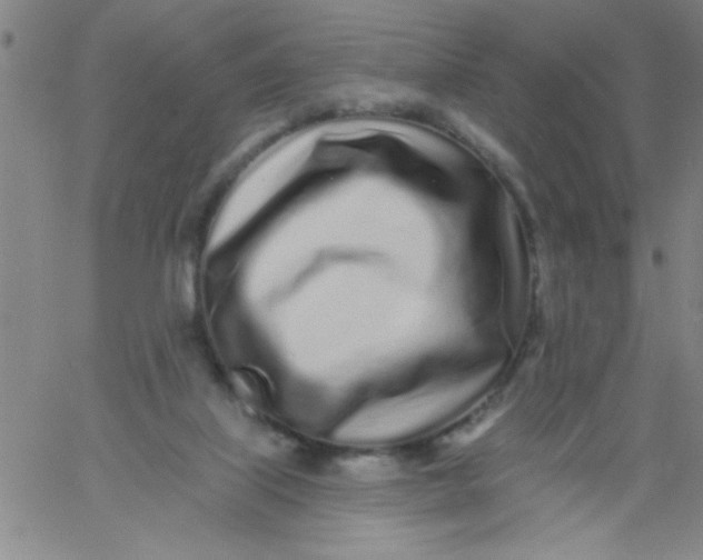 X0000061730067200512231445